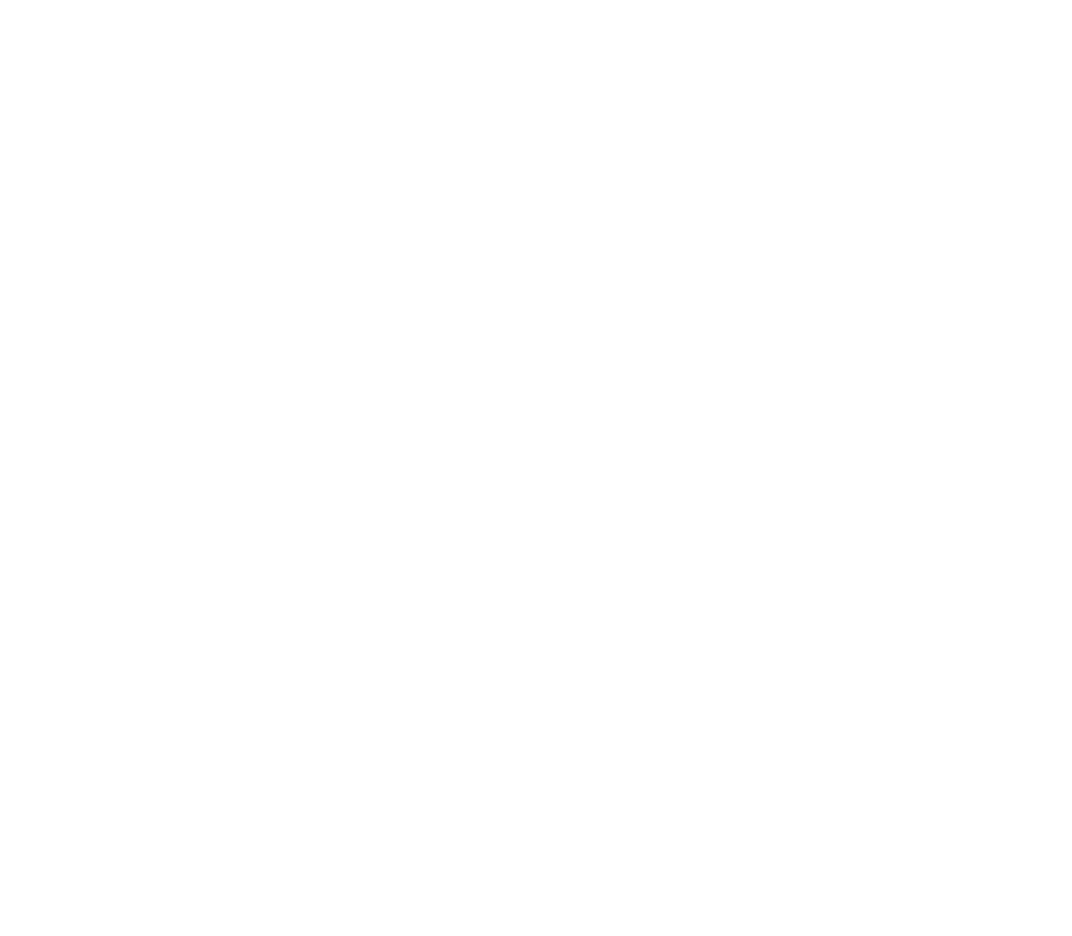 Graphic Styles DS